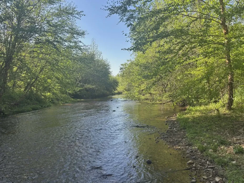 519 Highway 48, S Centerville TN 37033