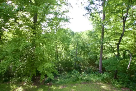 4541 Tanglewood Road Pegram TN 37143