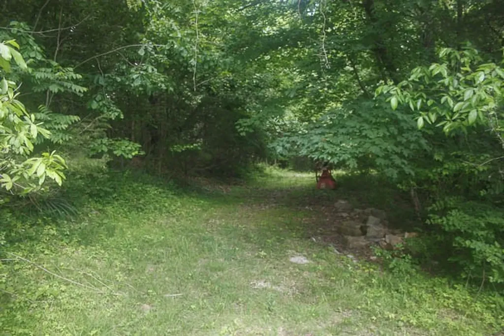0 Harpeth Peytonsville Road Thompsons Station TN 37179