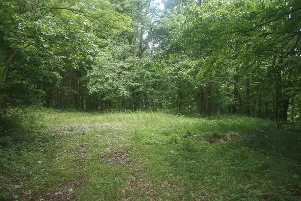 0 Harpeth Peytonsville Road Thompsons Station TN 37179