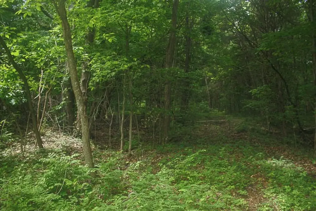 0 Harpeth Peytonsville Road Thompsons Station TN 37179