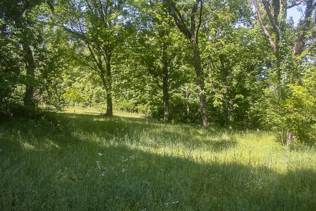 0 Harpeth Peytonsville Road Thompsons Station TN 37179