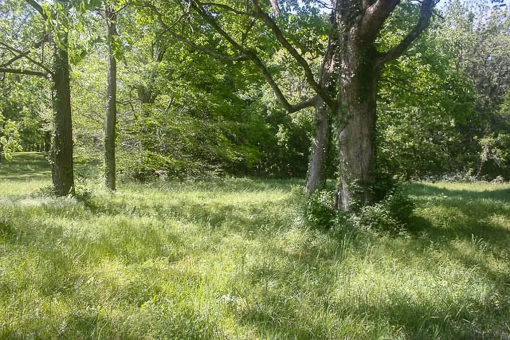 0 Harpeth Peytonsville Road Thompsons Station TN 37179