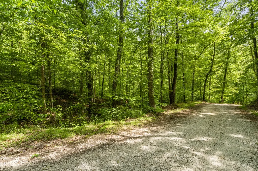 444 Cooley Road Waverly TN 37185