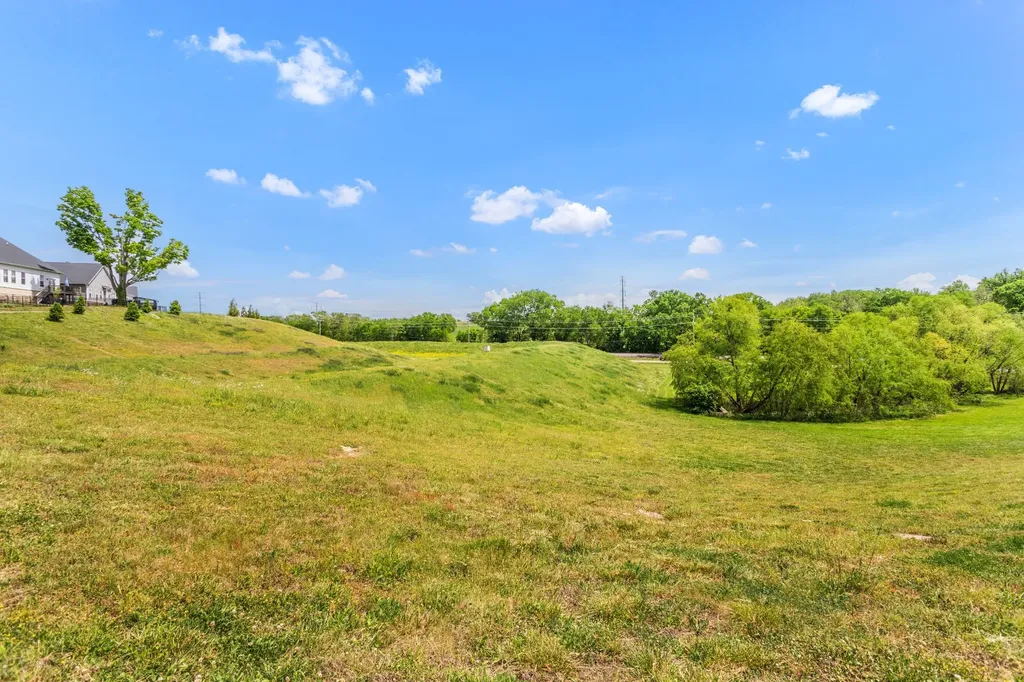 928 Carraway Lane Spring Hill TN 37174