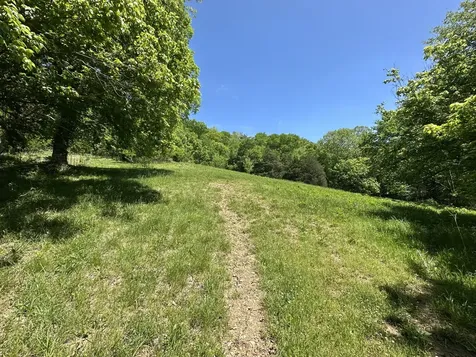 202 Maggart Road Elmwood TN 38560
