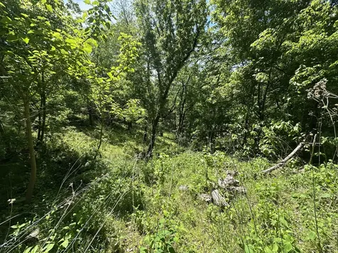 202 Maggart Road Elmwood TN 38560