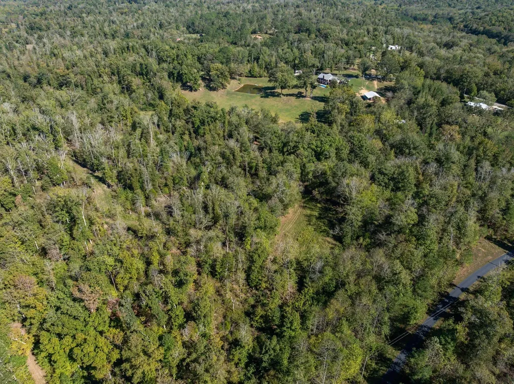 2743 Mouse Tail Road Parsons TN 38363