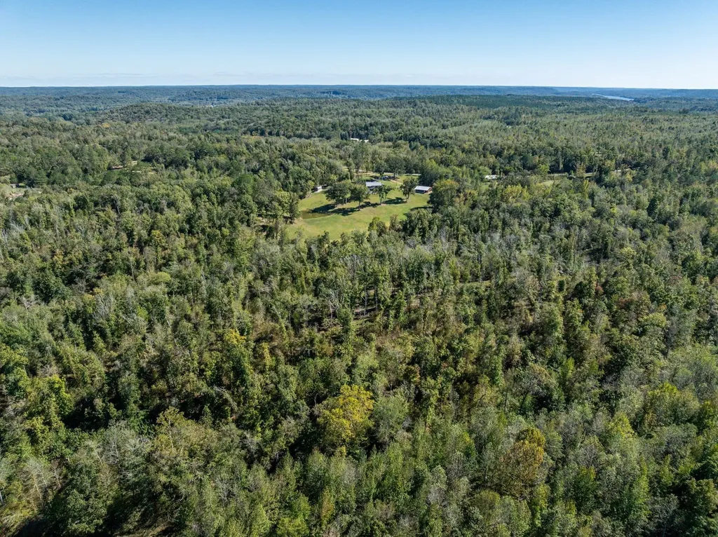 2743 Mouse Tail Road Parsons TN 38363