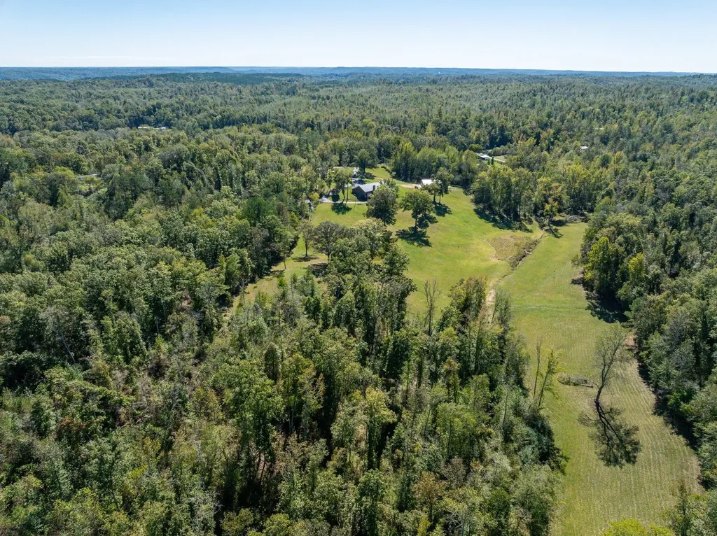 2743 Mouse Tail Road Parsons TN 38363