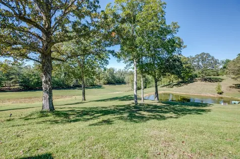 2743 Mouse Tail Road Parsons TN 38363