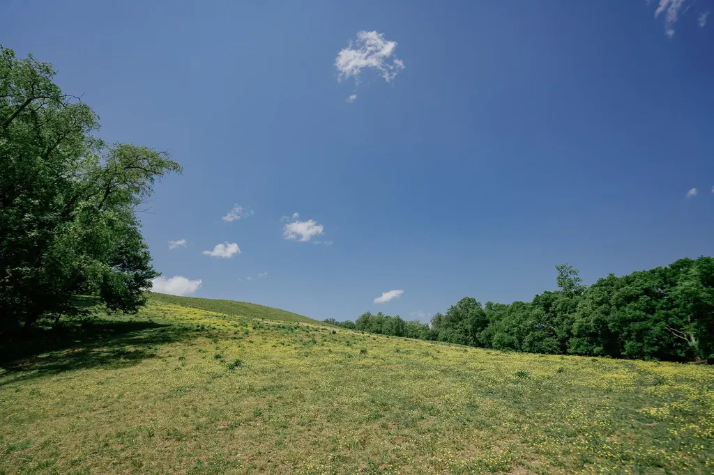 0 Highway 50 Winchester TN 37398