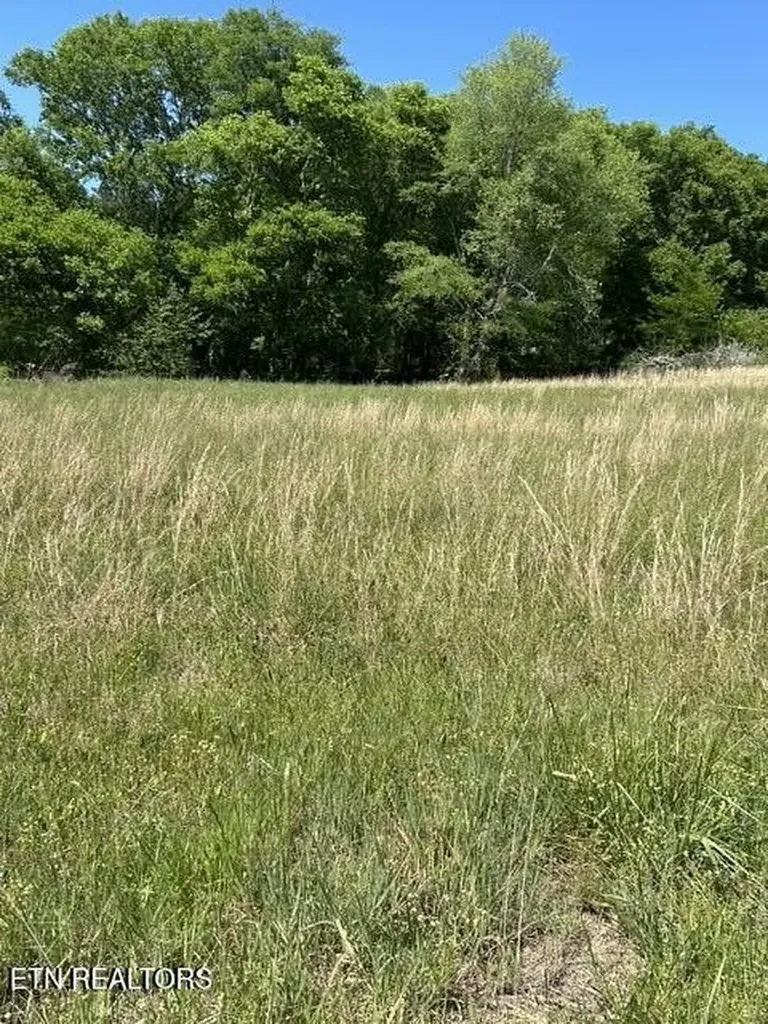 789 Smith Bend Lane Gainesboro TN 38562