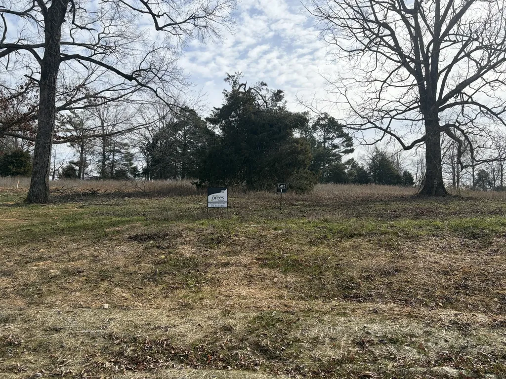 3200 Hunziker Lane Fairview TN 37062