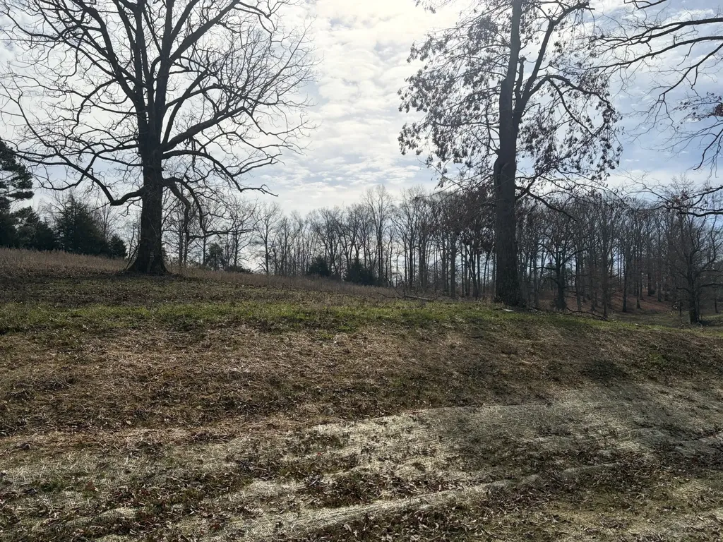 3200 Hunziker Lane Fairview TN 37062