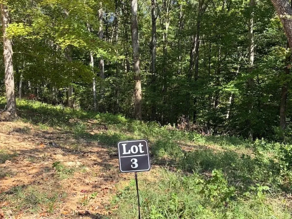 3212 Hunziker Lane Fairview TN 37062