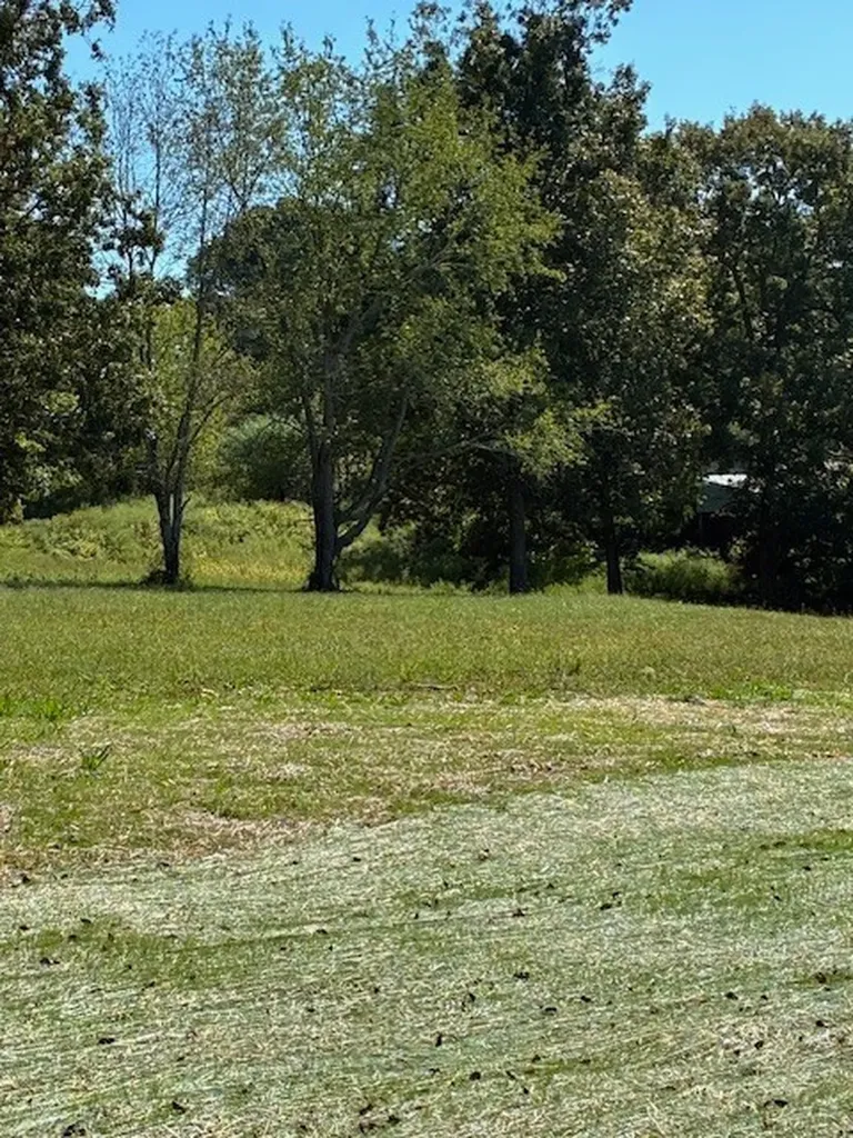 3212 Hunziker Lane Fairview TN 37062
