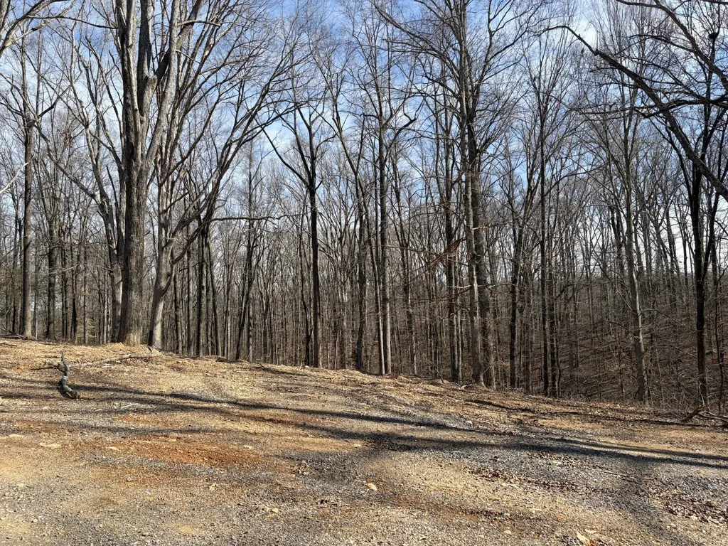 3212 Hunziker Lane Fairview TN 37062