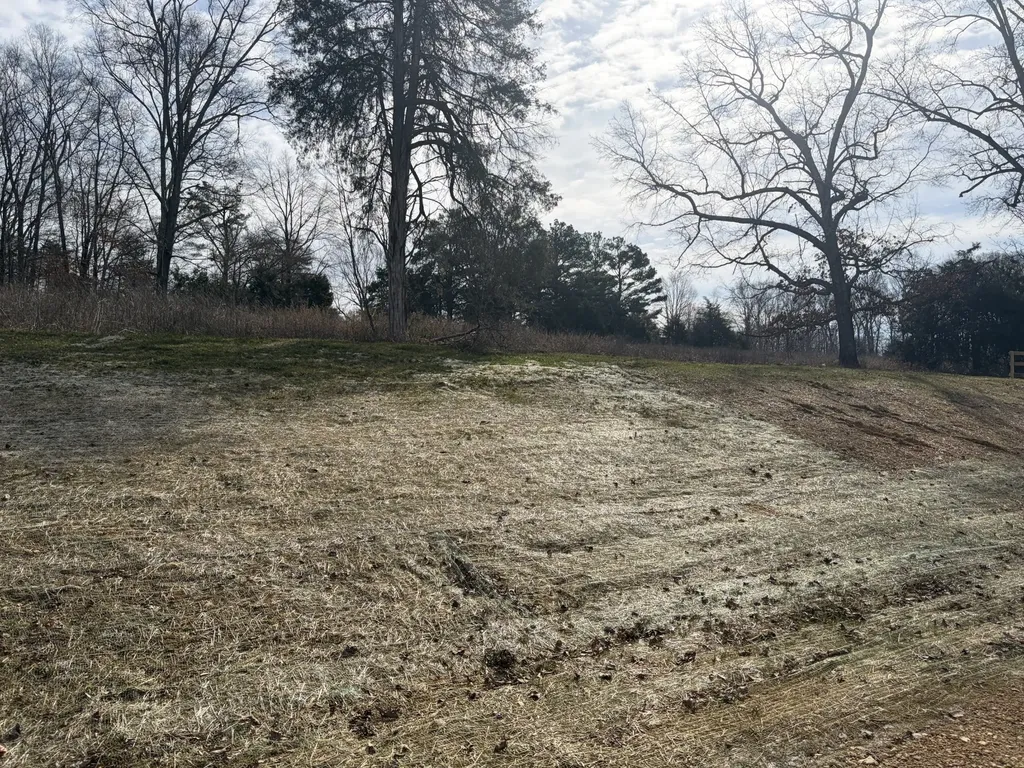 3206 Hunziker Lane Fairview TN 37062
