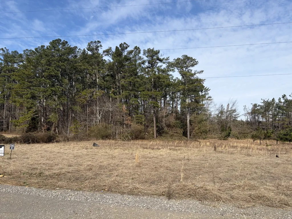 3224 Hunziker Lane Fairview TN 37062