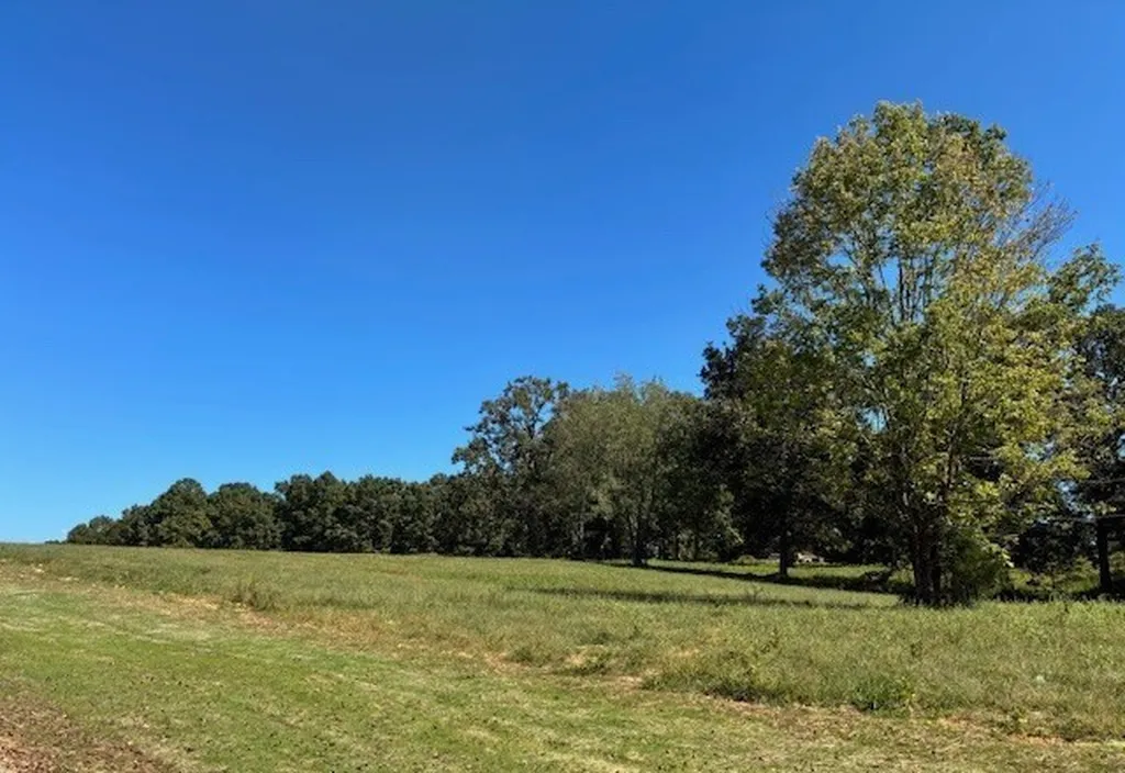 3224 Hunziker Lane Fairview TN 37062