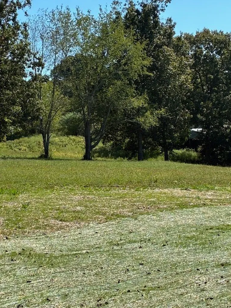 3224 Hunziker Lane Fairview TN 37062