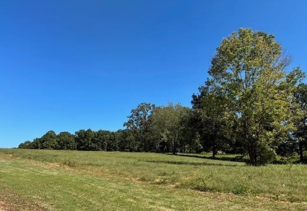 3218 Hunziker Lane Fairview TN 37062