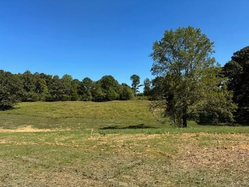 3218 Hunziker Lane Fairview TN 37062