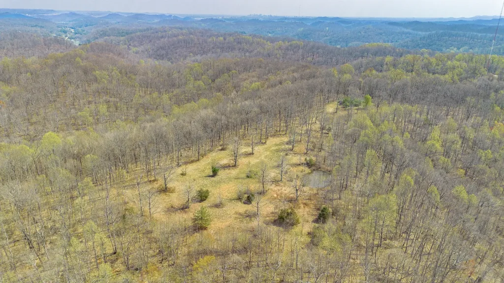 8234 Old Pond Creek Road Pegram TN 37143