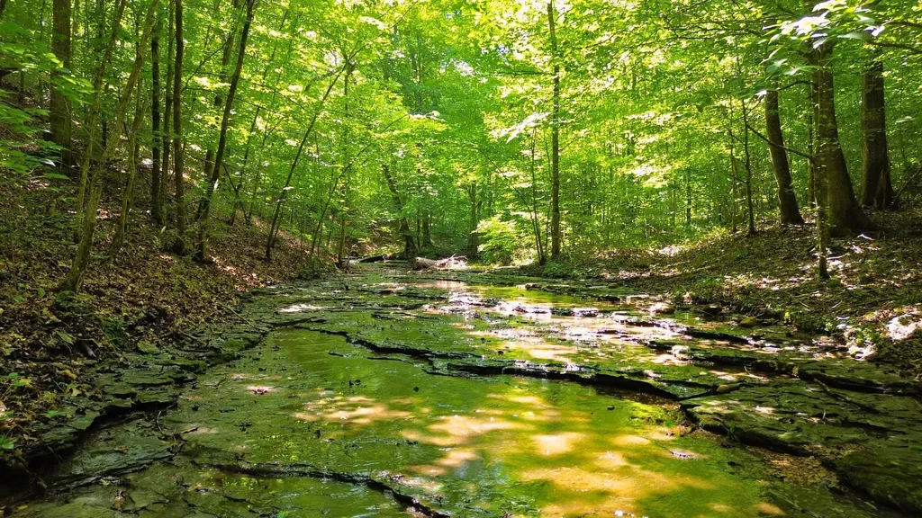 8234 Old Pond Creek Road Pegram TN 37143