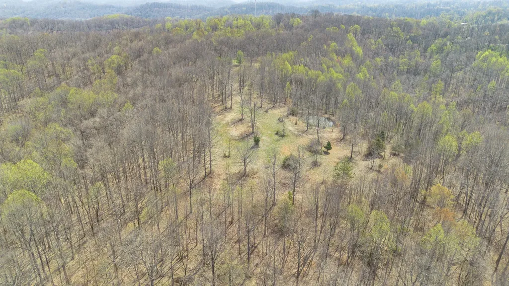 8234 Old Pond Creek Road Pegram TN 37143
