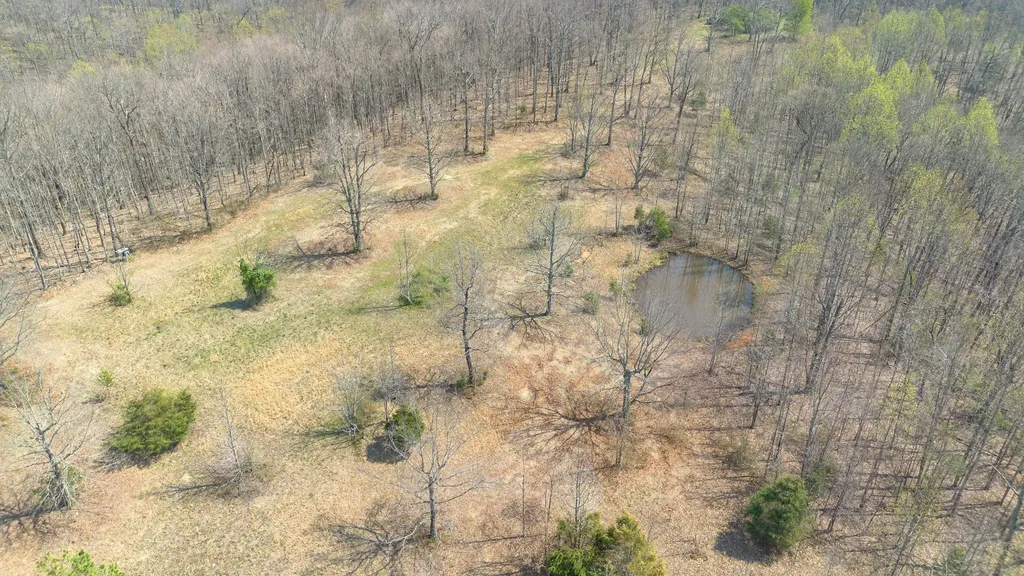 8234 Old Pond Creek Road Pegram TN 37143
