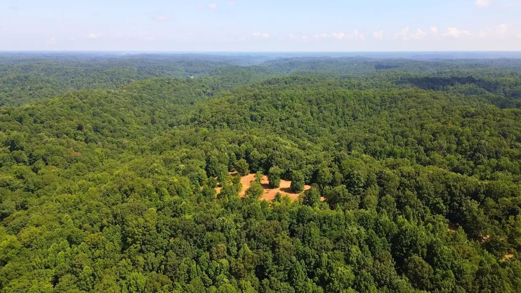 8234 Old Pond Creek Road Pegram TN 37143