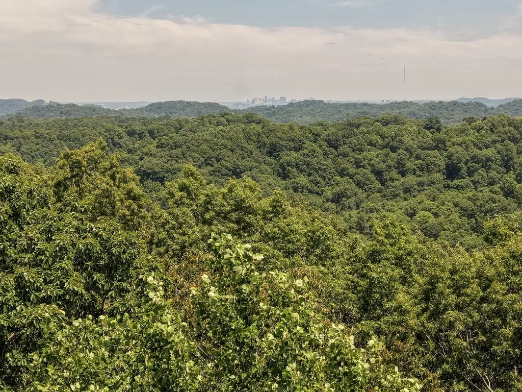 8234 Old Pond Creek Road Pegram TN 37143