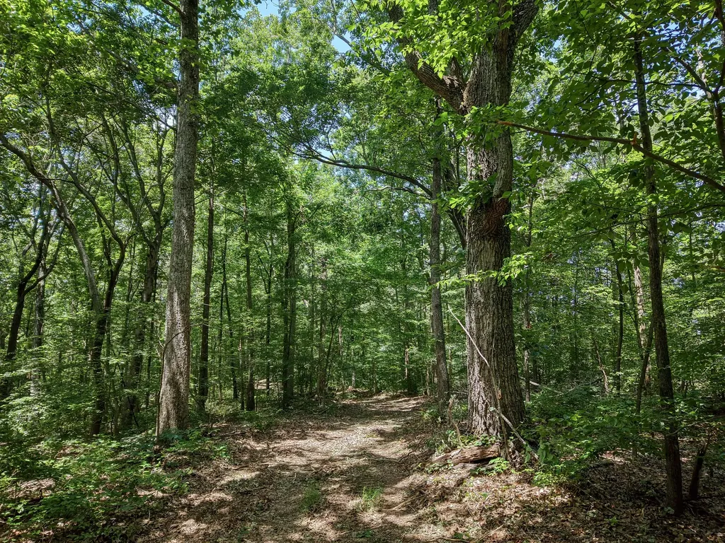 8234 Old Pond Creek Road Pegram TN 37143