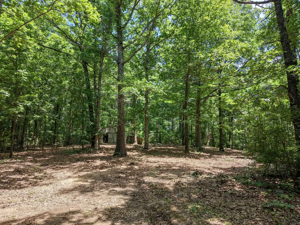 8234 Old Pond Creek Road Pegram TN 37143