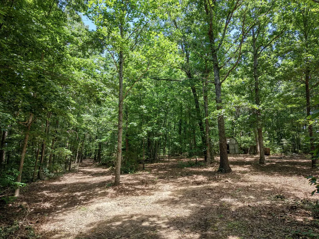 8234 Old Pond Creek Road Pegram TN 37143