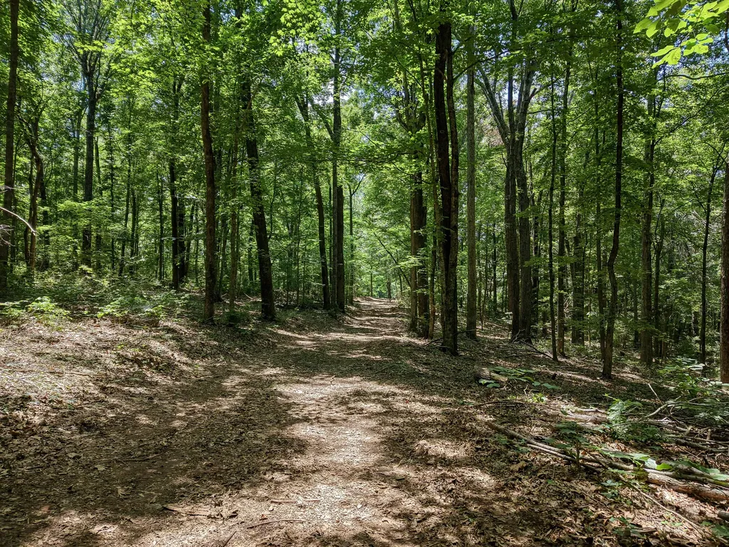 8234 Old Pond Creek Road Pegram TN 37143
