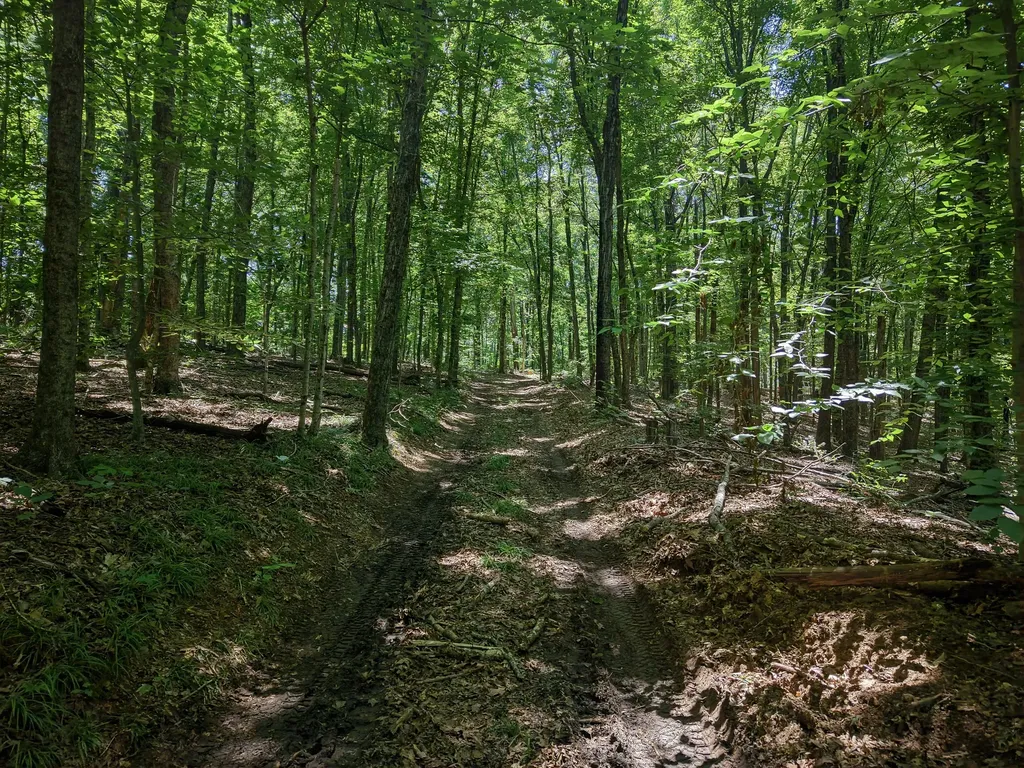 8234 Old Pond Creek Road Pegram TN 37143