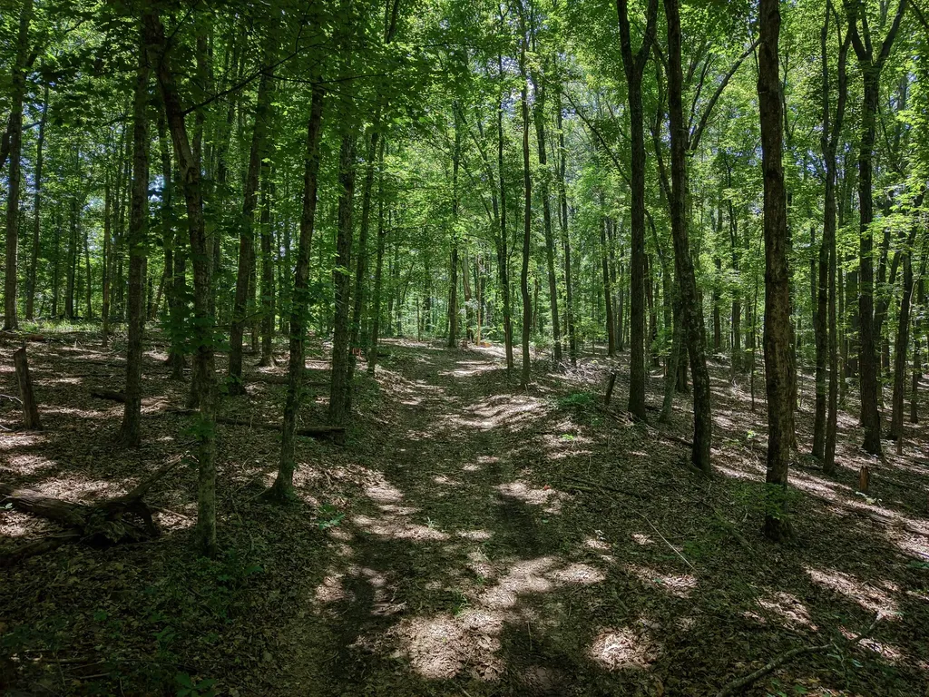 8234 Old Pond Creek Road Pegram TN 37143