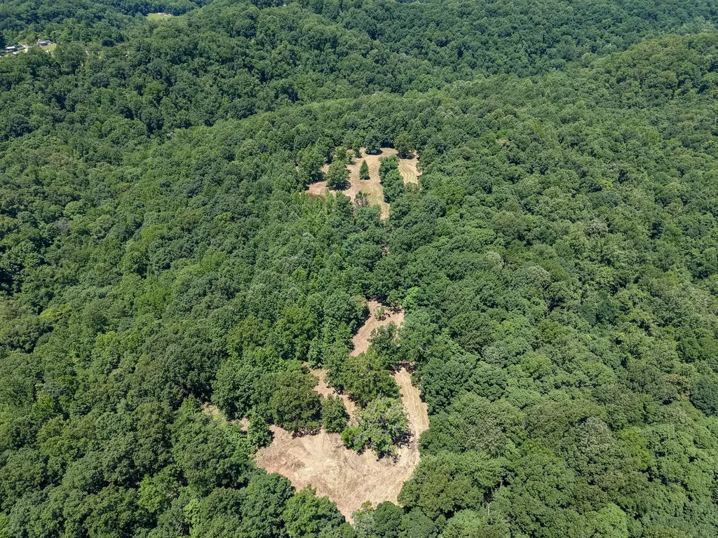 8234 Old Pond Creek Road Pegram TN 37143