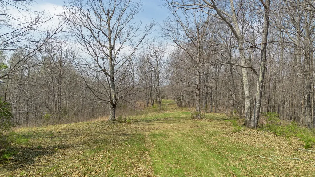 8234 Old Pond Creek Road Pegram TN 37143