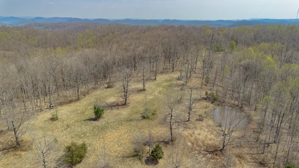 8234 Old Pond Creek Road Pegram TN 37143