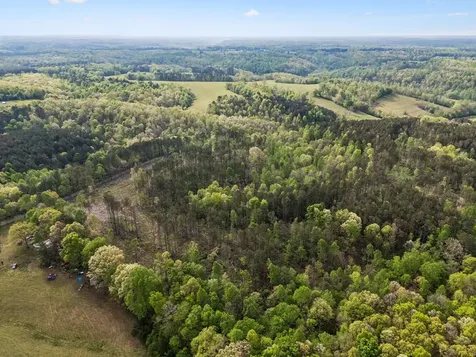 1 Pleasant Ridge Road Goodspring TN 38460