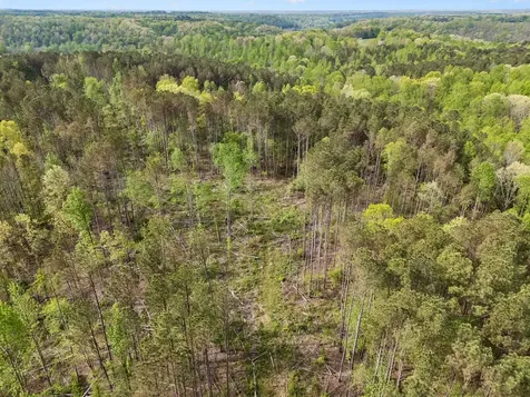 1 Pleasant Ridge Road Goodspring TN 38460
