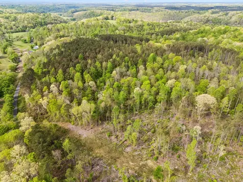 1 Pleasant Ridge Road Goodspring TN 38460