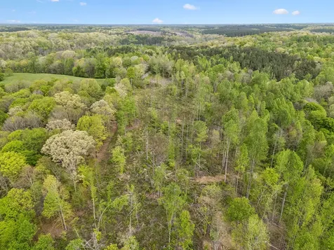 1 Pleasant Ridge Road Goodspring TN 38460