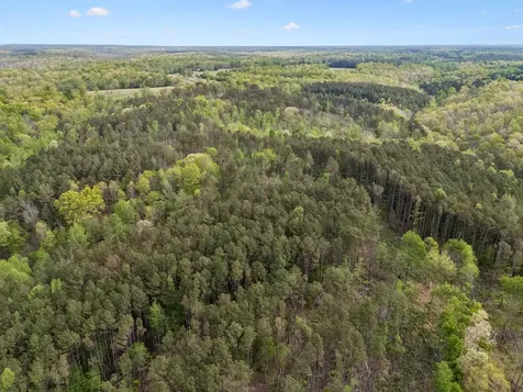 1 Pleasant Ridge Road Goodspring TN 38460