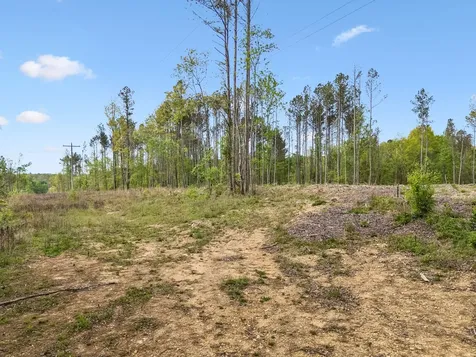 1 Pleasant Ridge Road Goodspring TN 38460