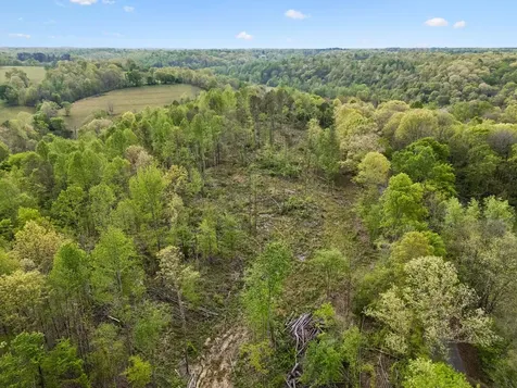 1 Pleasant Ridge Road Goodspring TN 38460